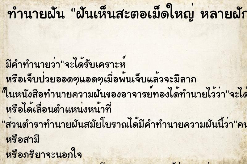 ทำนายฝัน ฝันเห็นสะตอเม็ดใหญ่ หลายฝัก 